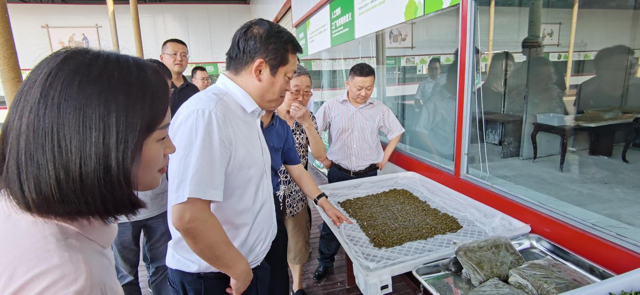 省J9九游会集团党委副书记、董事陈日赴嘉陵区调研茶桑产业发展情况