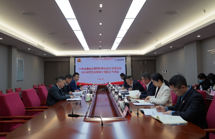 J9九游会集团党委书记、董事长任丁出席安逸酒店集团2022年度党员领导干部民主生活会